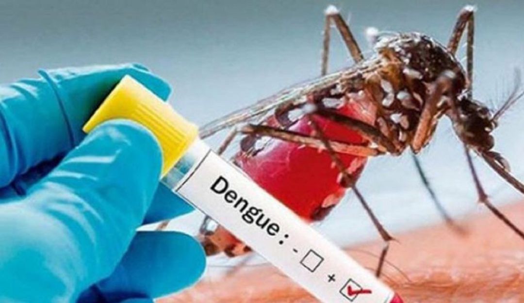 Casos de dengue en Ibagué disminuyeron en un 94%