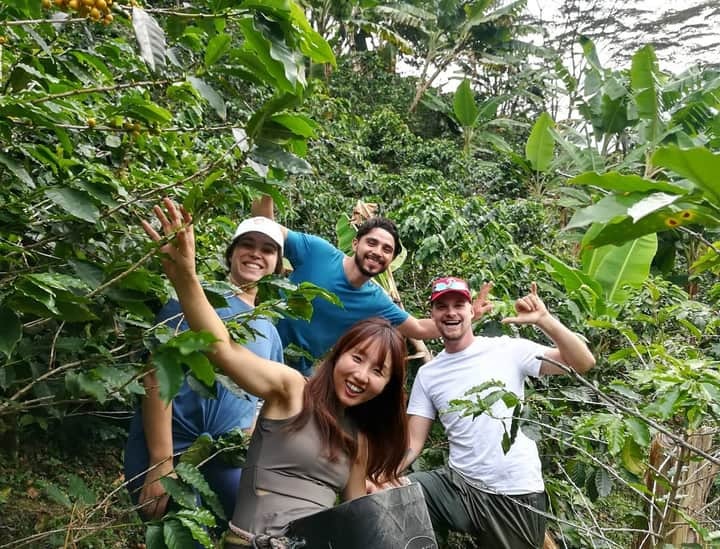 El Tolima fuerte en la producción de cafés especiales
