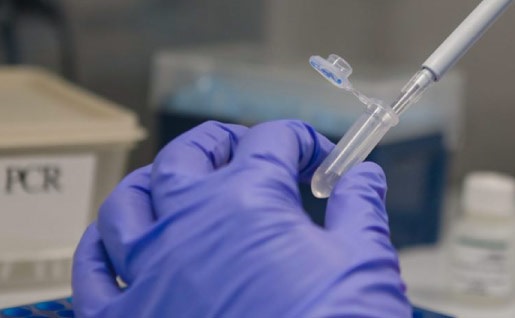 Hoy martes 68 contagios y siete muertes por covid-19 en el Tolima