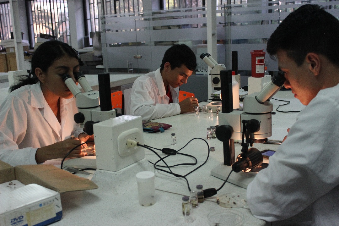 Gobierno del Tolima invertirá 2 mil millones en laboratorio de salud pública