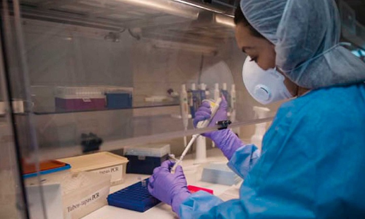 Suman 28 contagios más de coronavirus en el Tolima