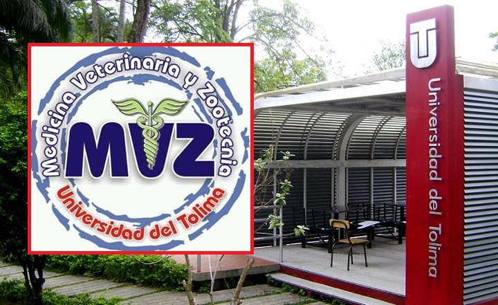 Por qué los profesores de la UT piden que no se fusionen las facultades de Veterinaria y Agronomía