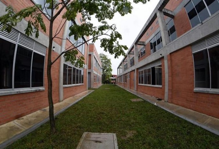 Procuraduría destituye a docente de Ibagué