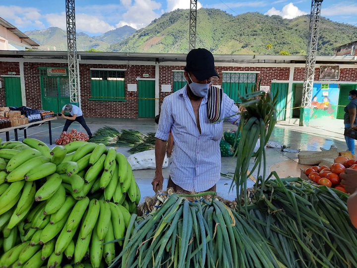 Ventas por 10 millones en mercado campesinos virtual de Rioblanco