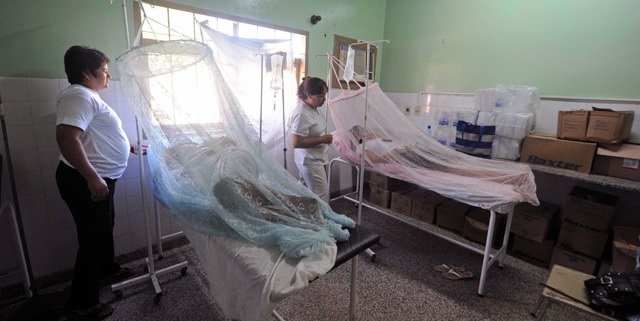 El dengue no da tregua en el Tolima: 5.628 casos este año