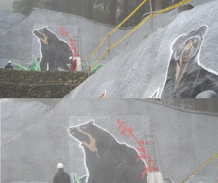 La flora y fauna, protagonistas en los túneles de la cordillera central