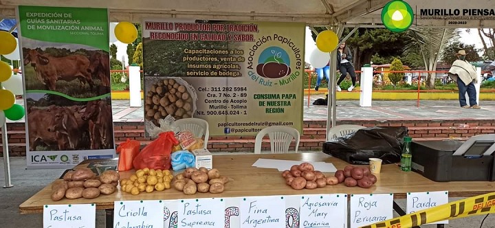 Cultivadores de papa de Murillo, piden que los dejen vender el producto en los peajes
