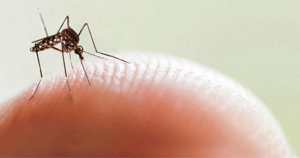Se dispara dengue en el Tolima