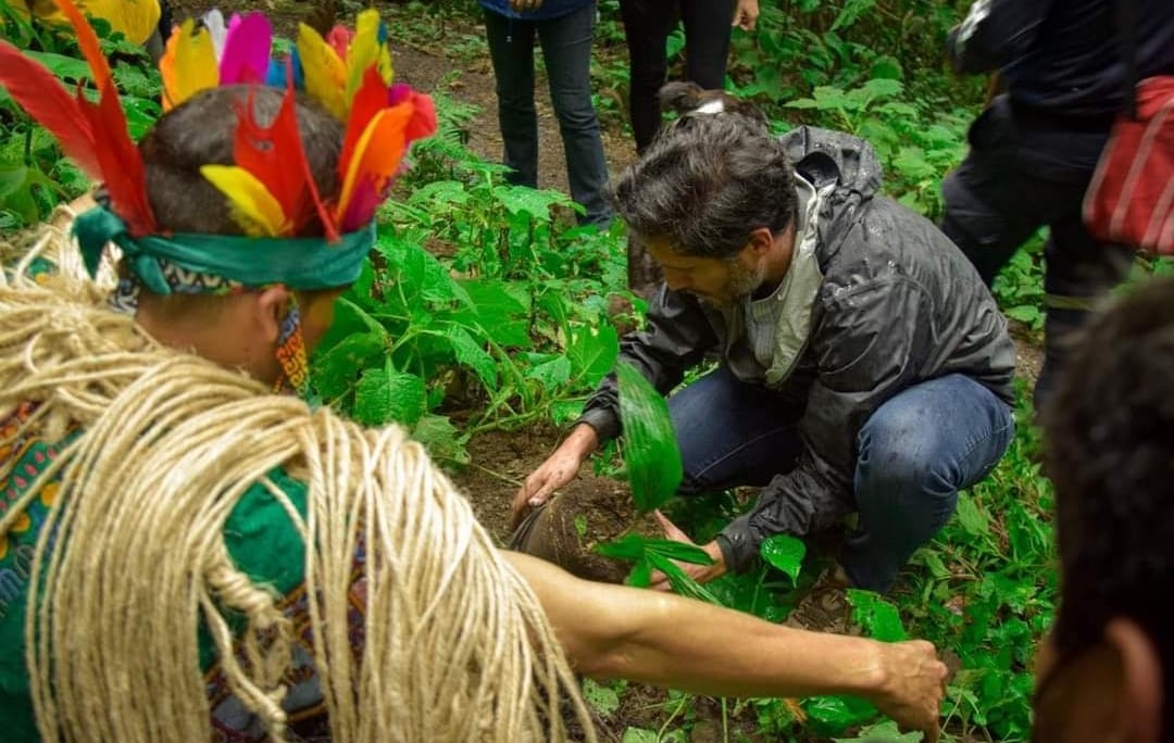 Abierta la convocatoria “Siembra futuro para el Tolima”
