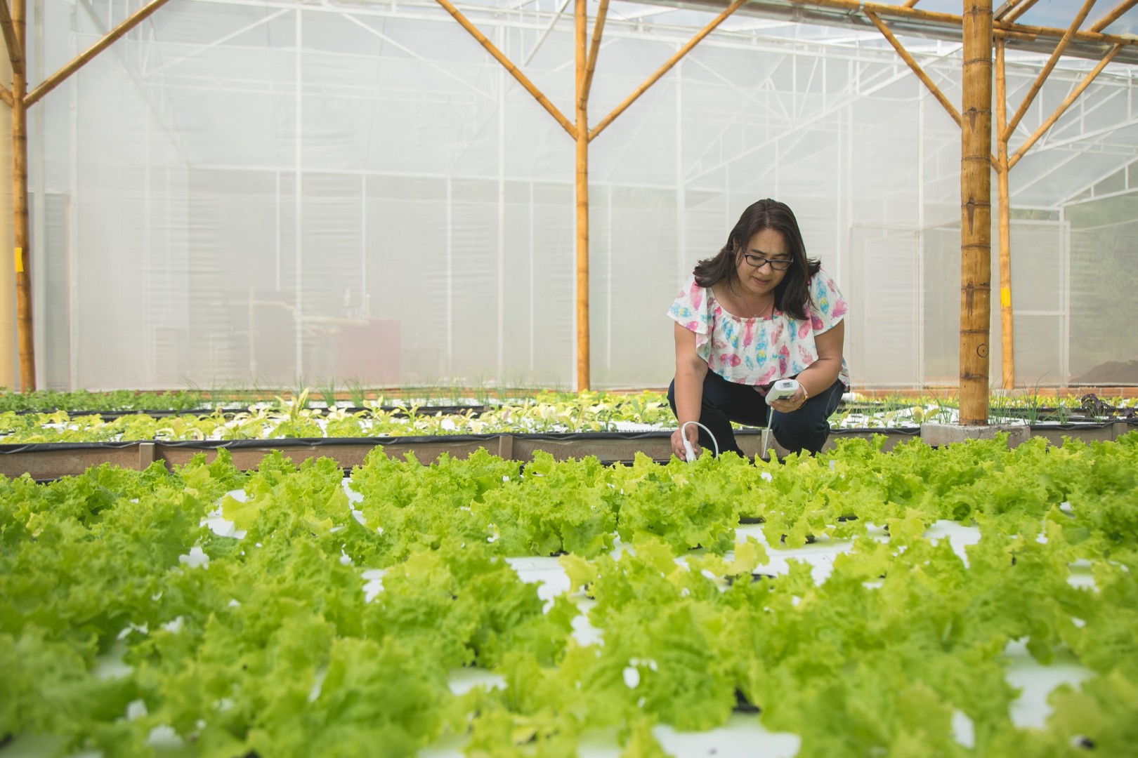 Unibagué, sede del Primer Congreso Internacional en Bioeconomía