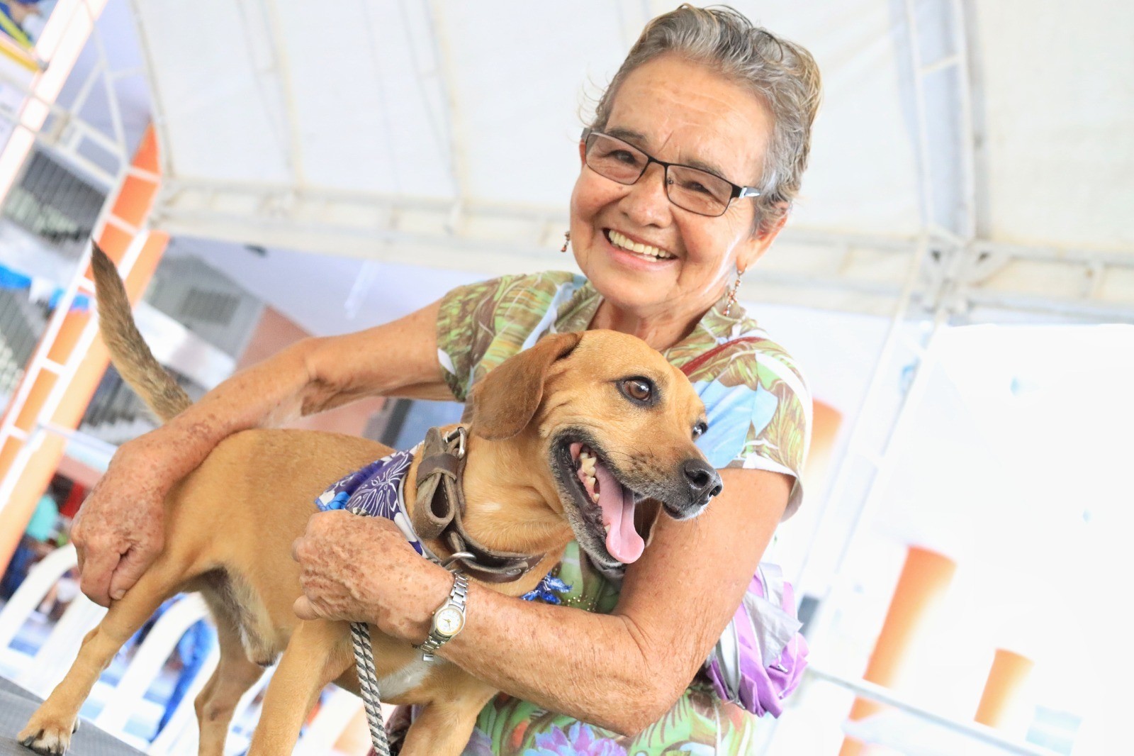 Adopte un peludito con la Gran Feria Animalista de Ibagué