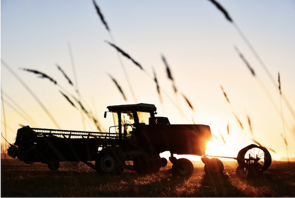 Nuevas tecnologías en agricultura y silvicultura