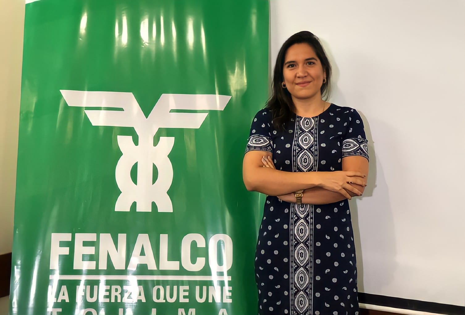 Alba Lucía García, nueva secretaria de Desarrollo Económico de Ibagué