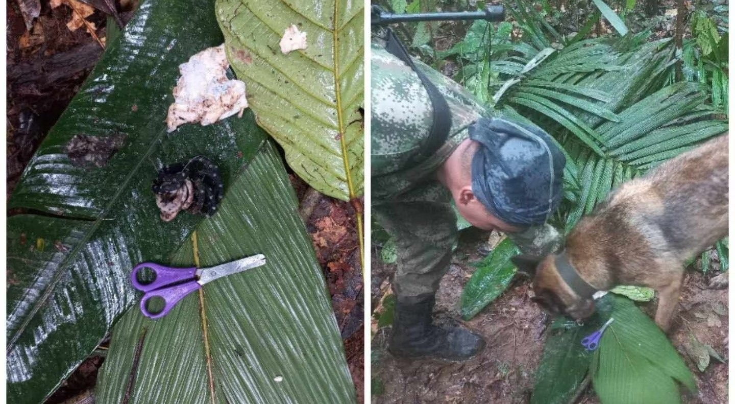 ¿Aparecieron o no los cuatro niños desaparecidos en la selva del Guaviare?