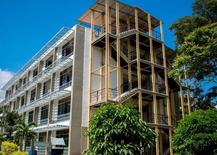 Aproveche el diplomado gratuito en prevención de la conducta suicida en Ibagué