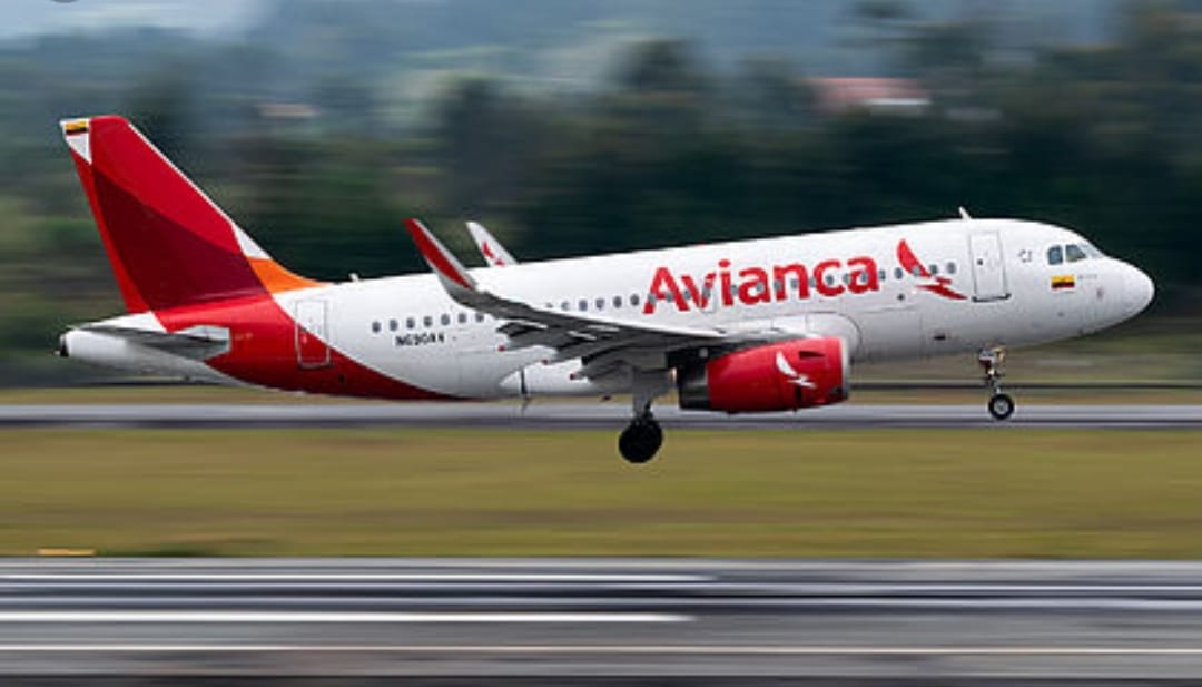 Asà fue el primer vuelo de un avión jet Airbus A319 en el Aeropuerto Perales de Ibagué