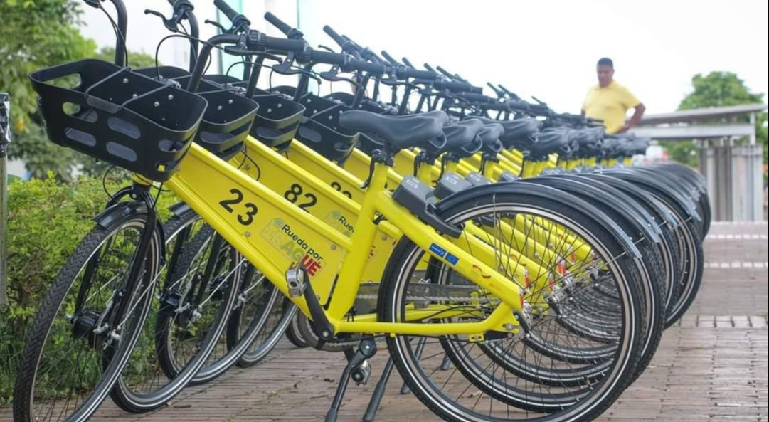 Así puede acceder a una de las 85 bicicletas públicas en Ibagué