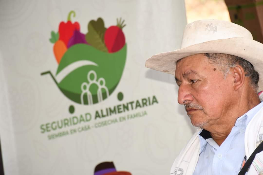 Avanza el proyecto “Siembra en Casa, Cosecha en Familia”