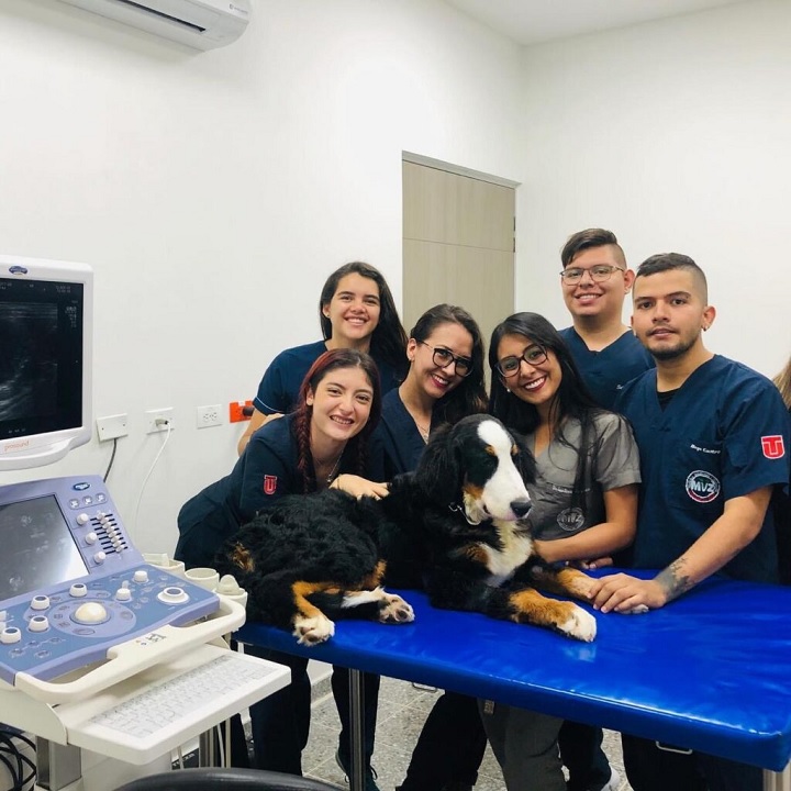 Medicina Veterinaria, orgullo de la UT