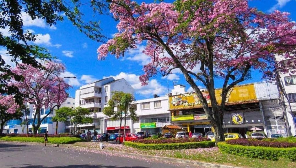 Los pasos para que Ibagué sea una ciudad inteligente