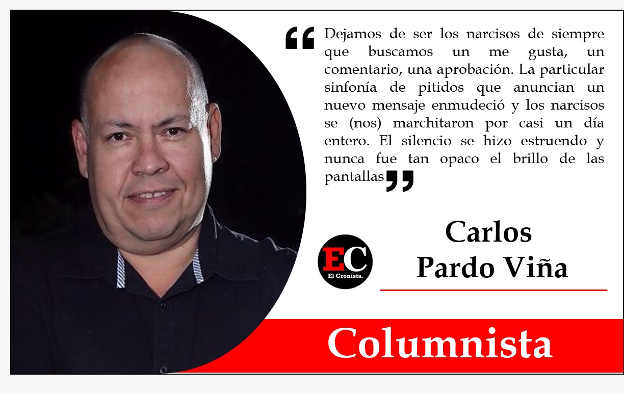 Se marchitaron los narcisos