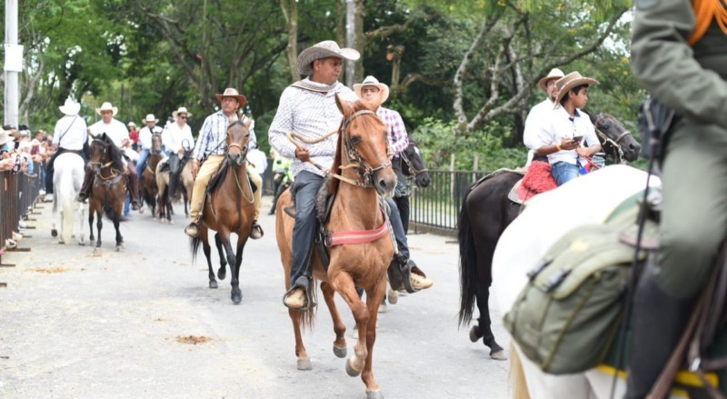 "Cancelar la cabalgata sería un descalabro económico para Ibagué": Asocatol
