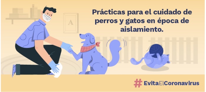 Prácticas para el cuidado de perros y gatos en época de aislamiento