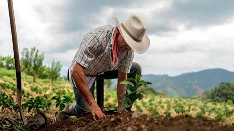 Se reúnen directores y secretarios de agricultura del Tolima