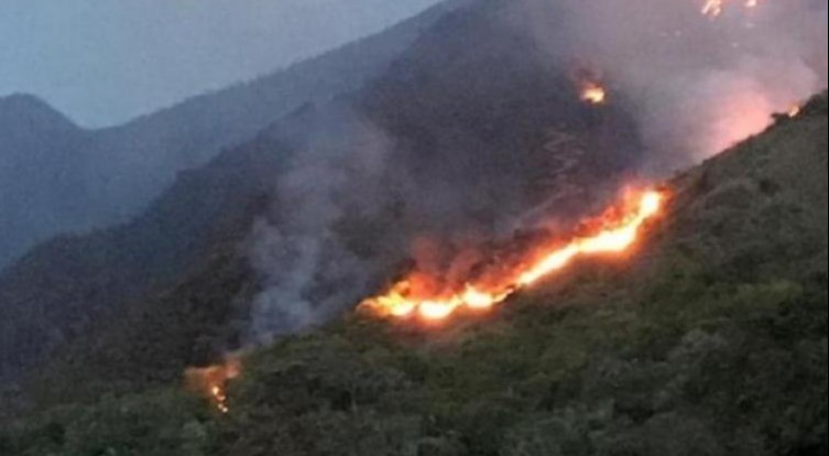 Declaran alerta roja en el Tolima por mayor probabilidad de incendios