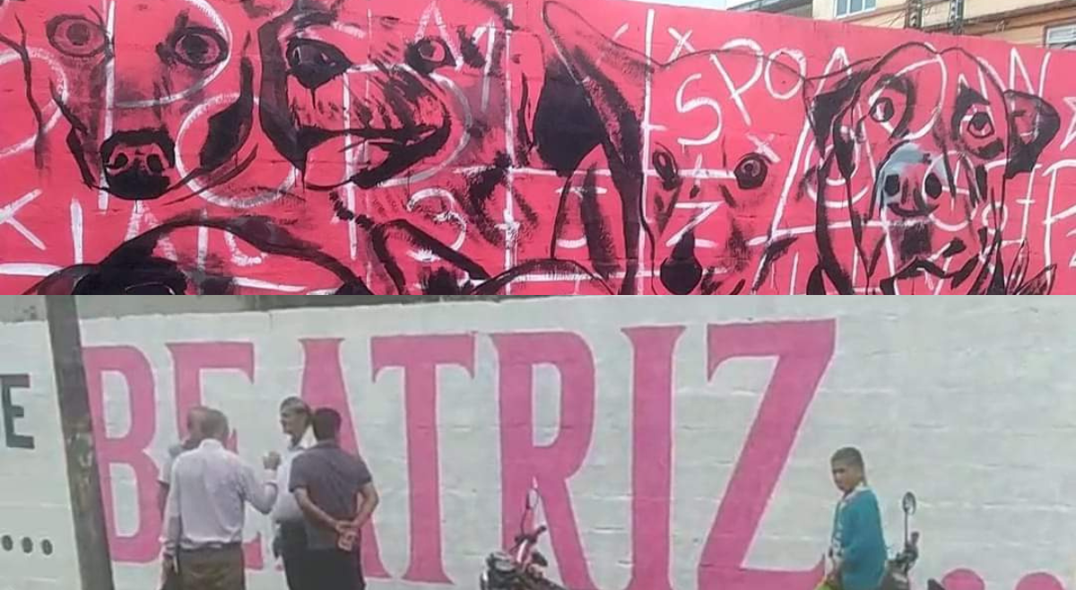 Denuncia contra precandidata a la Alcaldía del Líbano por atropello a artista