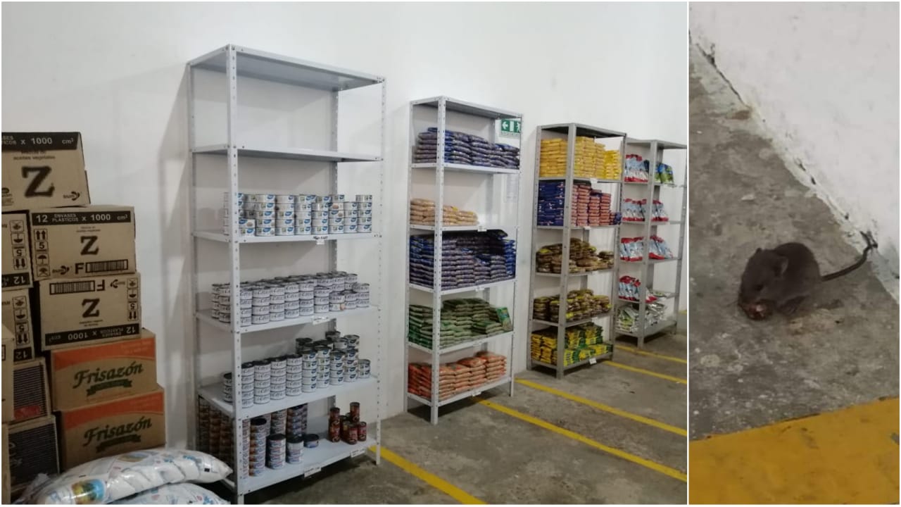 Denuncian sobrecostos y hasta presencia de ratas en la entrega del PAE en Ibagué