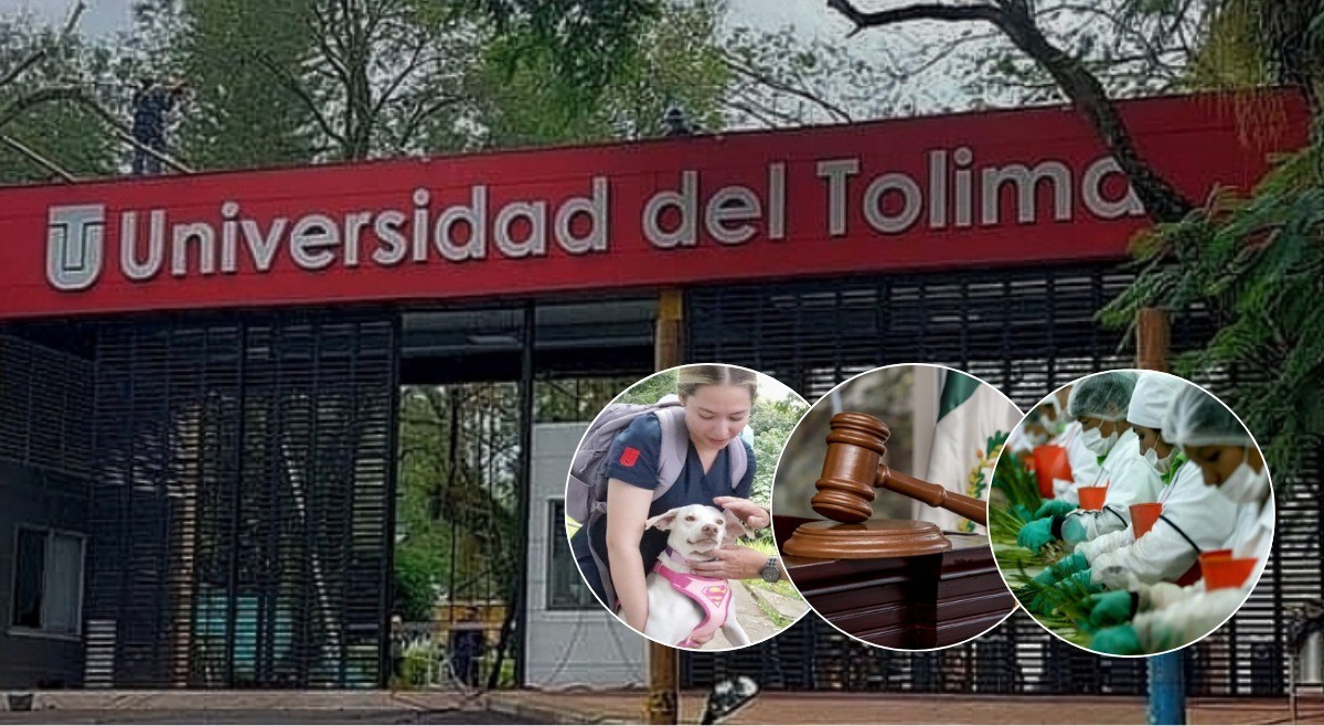 Derecho, Ing. Agroindustrial y Veterinaria de la UT entre los mejores de Colombia 2024