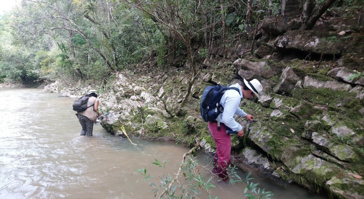 Descubren fósiles de un animal extinto que vivió hace 200 millones de años en Chaparral