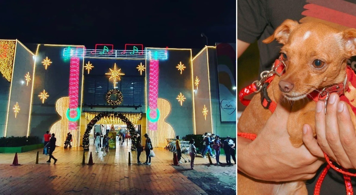 Destacan a Multicentro Ibagué por realizar show pirotécnico amigable con las mascotas