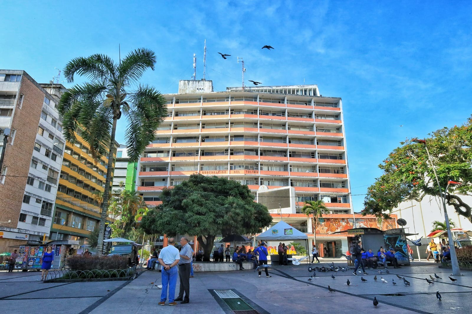 Destacan labor del Tolima en la presentación de proyectos ante la OCAD Centro Sur