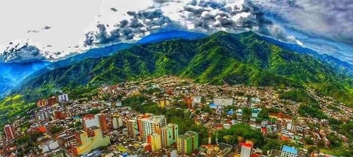 Tolima entre los líderes de negocios verdes