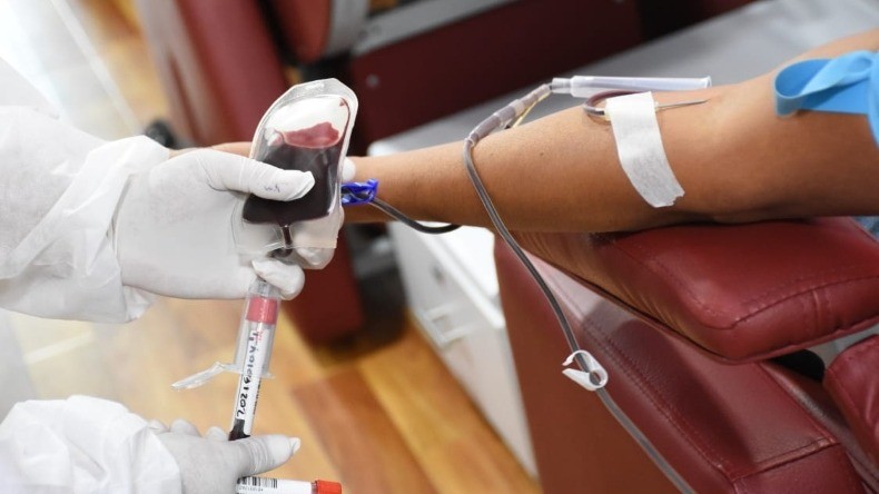 Haga parte del Día Mundial del Donante de Sangre en Ibagué