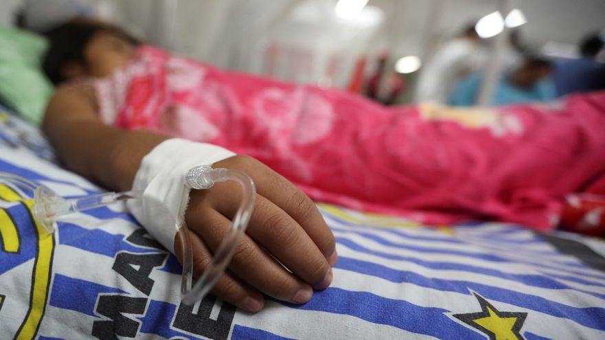 Dos muertos este año por dengue