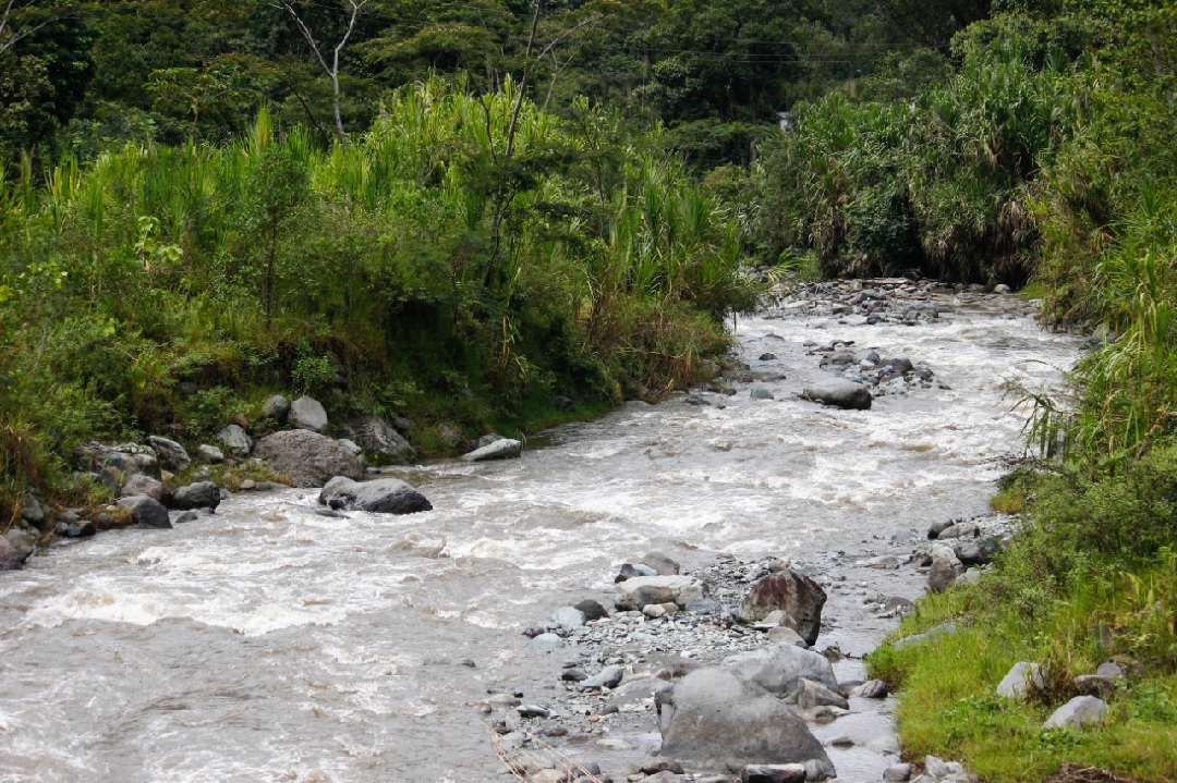 Trabajo articulado en la protección de la cuenca del Combeima por parte de la Alcaldía, Gobernación y Cortolima