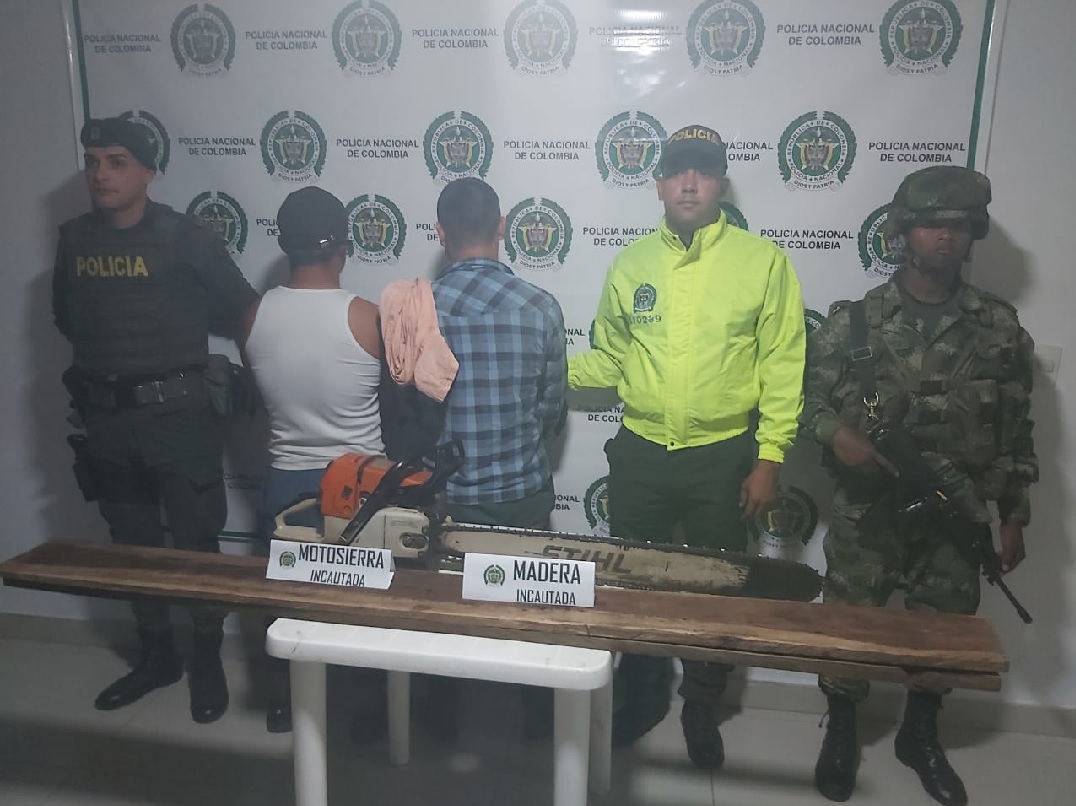 Dos personas detenidas por talar un bosque en el Líbano