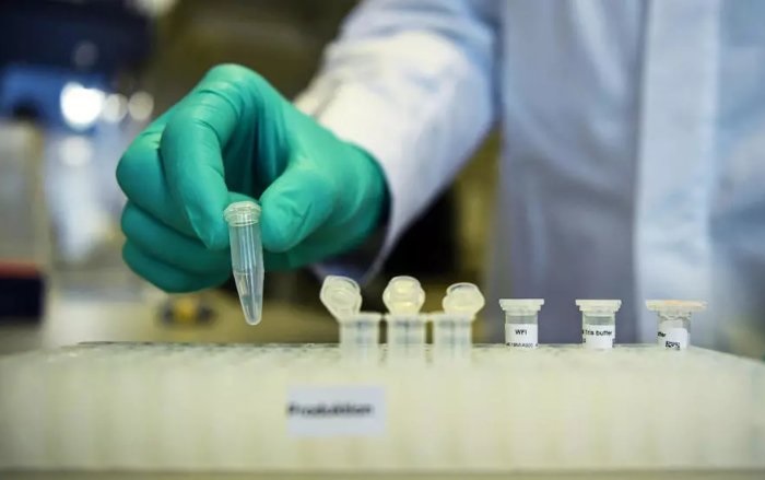 Tolima se mantiene en 247 casos de coronavirus