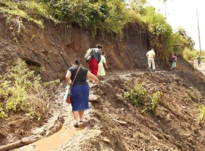 ‘El campo’, poema ganador del premio de poesía ‘Ibagué Literaria 2022’