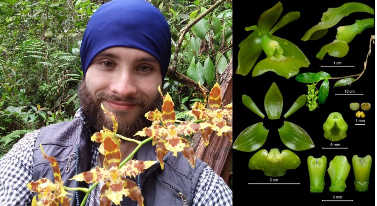 El científico de la UT que vive para las orquídeas