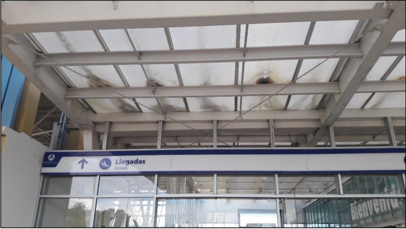 El deplorable estado del Aeropuerto Perales de Ibagué