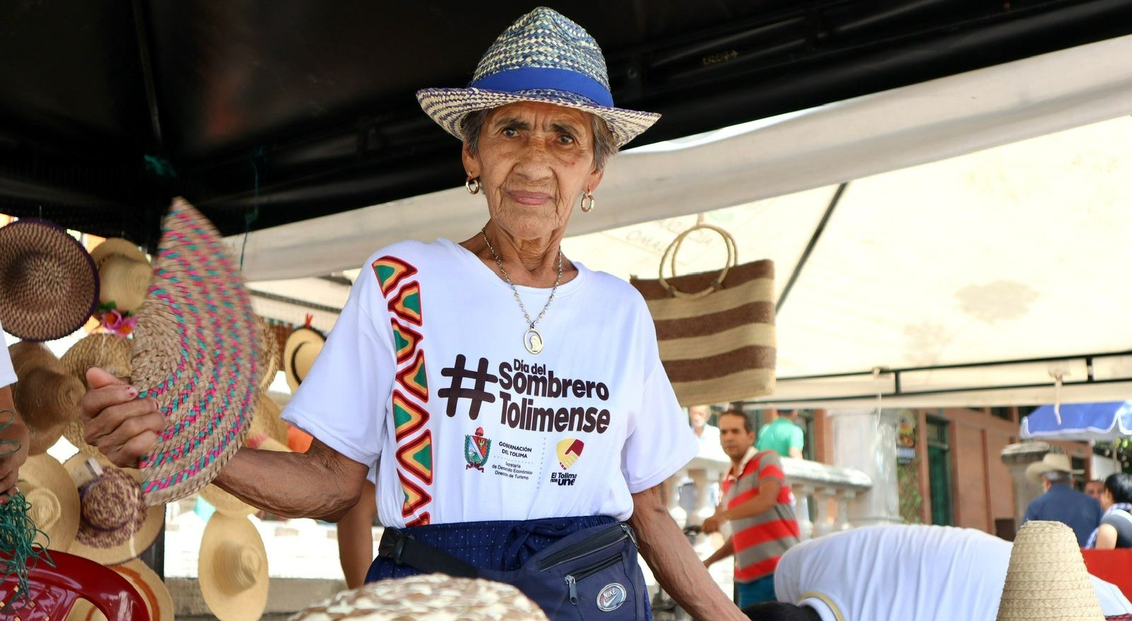 El Guamo celebra el XII Festival y VIII Reinado Artesanal de la Palma Real en puente de San José