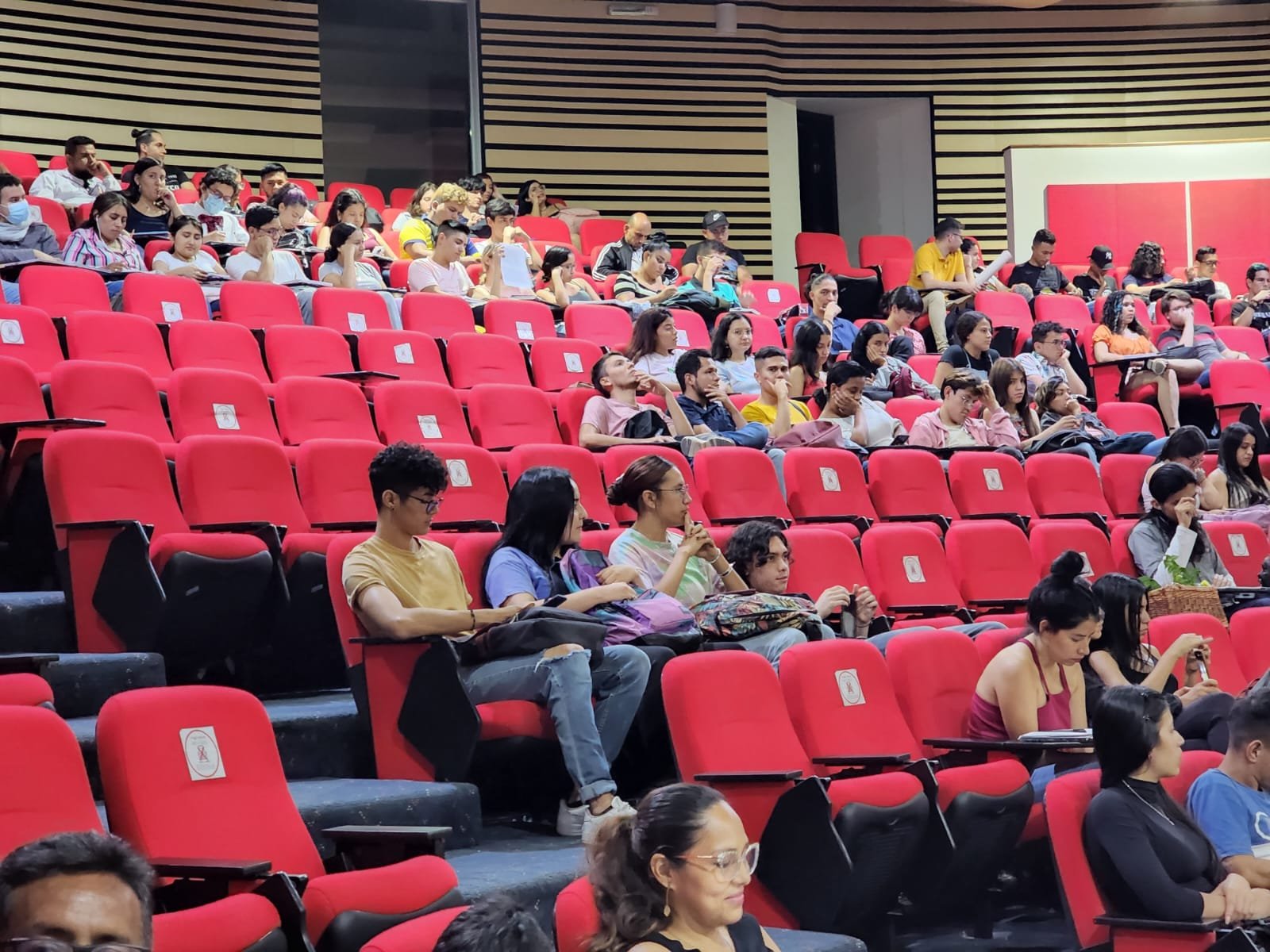 El próximo lunes abren inscripciones para estudiar gratis en la Universidad del Tolima