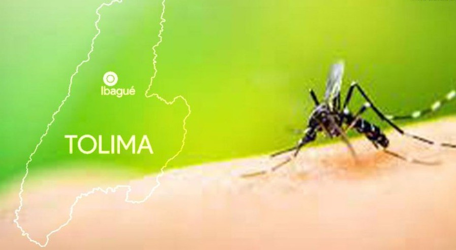 Se necesita reingeniería para combatir el dengue