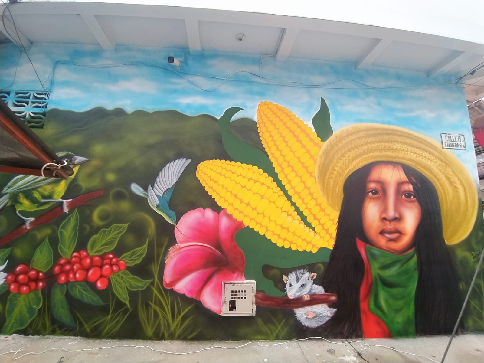 En Planadas hacen mural en homenaje al Tolima