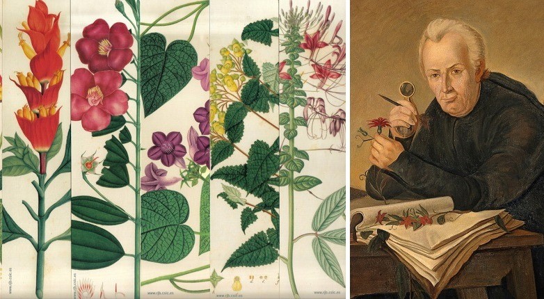 En Unibagué se rinde homenaje al Sabio Mutis