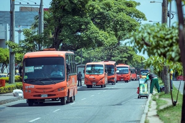 Paulatinamente desde este lunes se reactivará transporte público en Ibagué